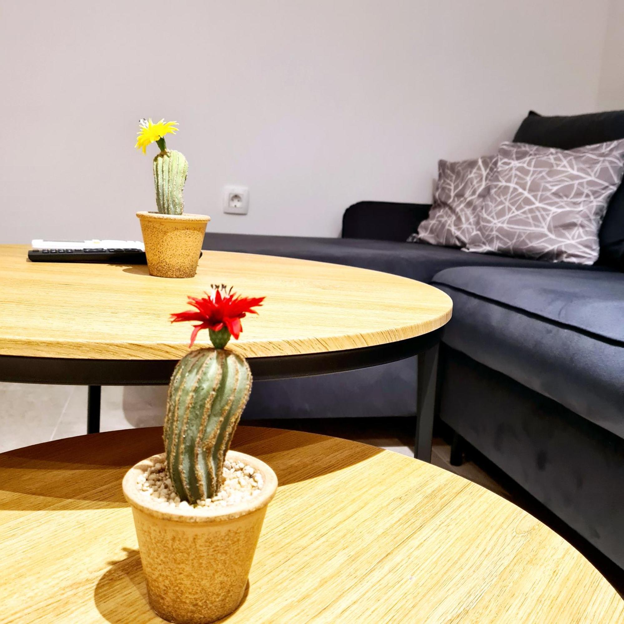Apartment Swallow's Nest Vir