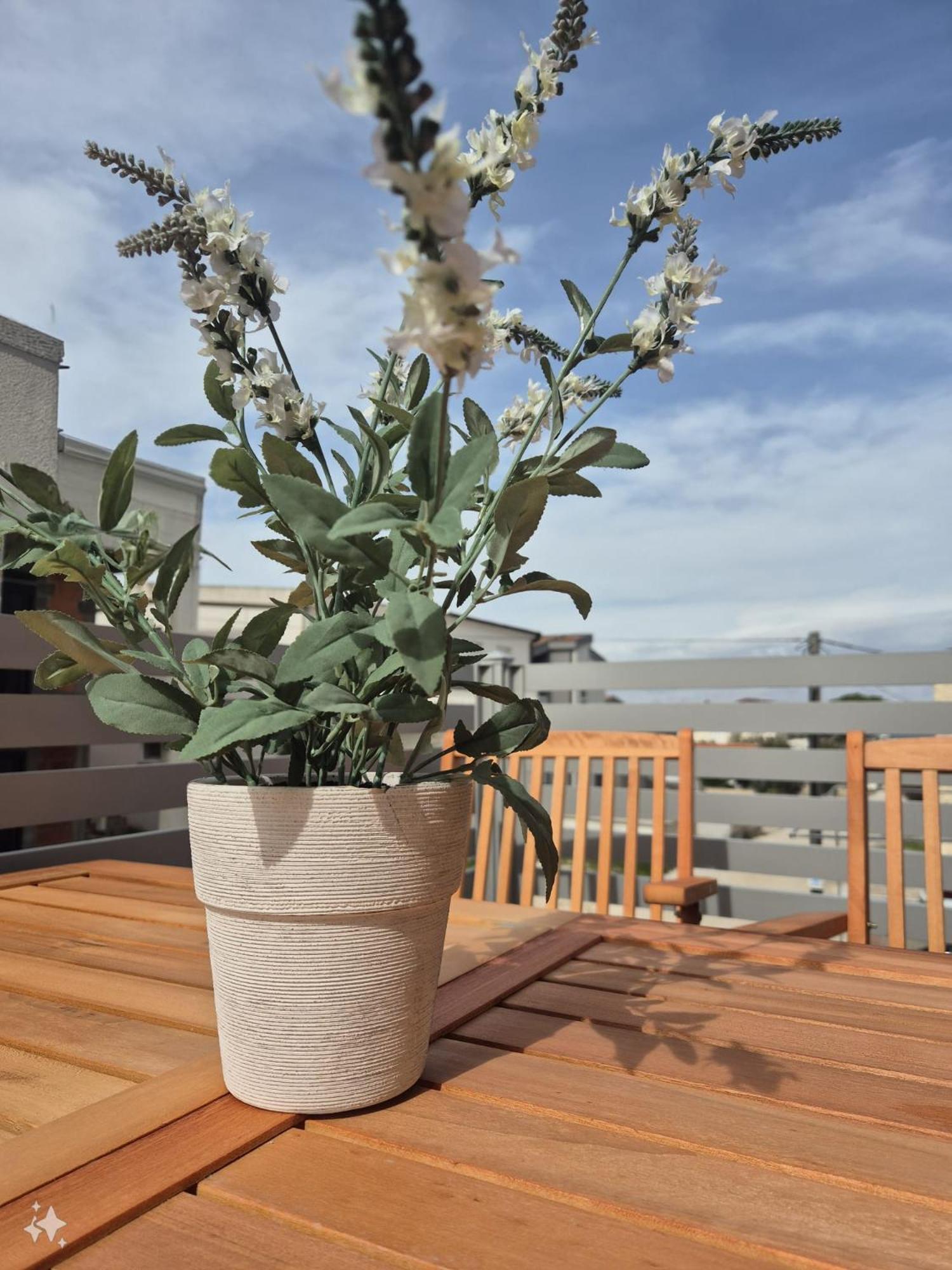 Apartment Swallow's Nest *